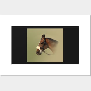 Race Horse Posters and Art